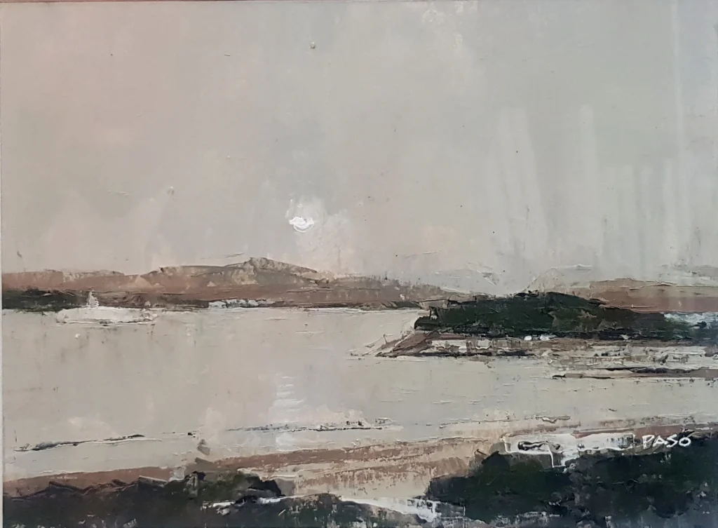 SARDINERO 1